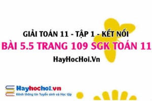 Giải bài 5.5 trang 109 Toán 11 tập 1 SGK Kết nối tri thức